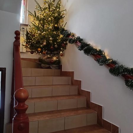 Noclegi U Brody Hoczew Dış mekan fotoğraf
